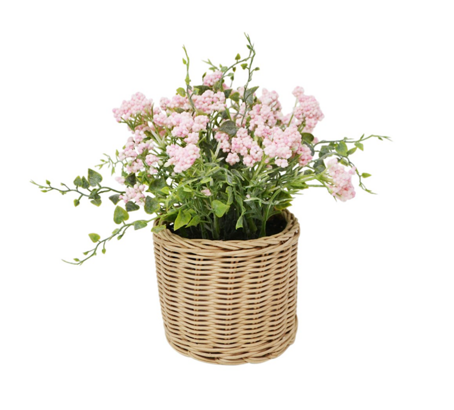 Clematis in a Rattan Pot