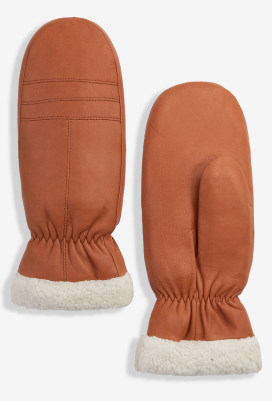 Colwood Leather Mitt