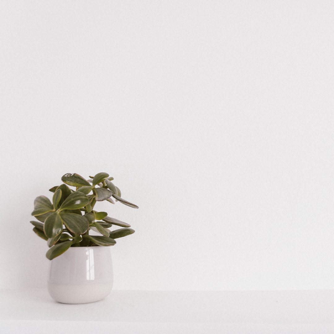 Planters, Vases & Baskets