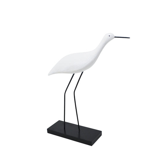 Largel Snipe Bird