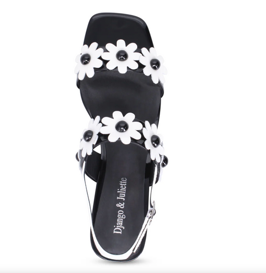 Django and Juliette Hatsyl Shoe